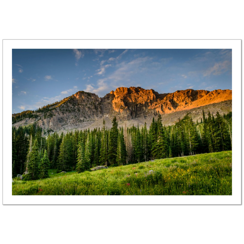 Untitled - AP19727P619211